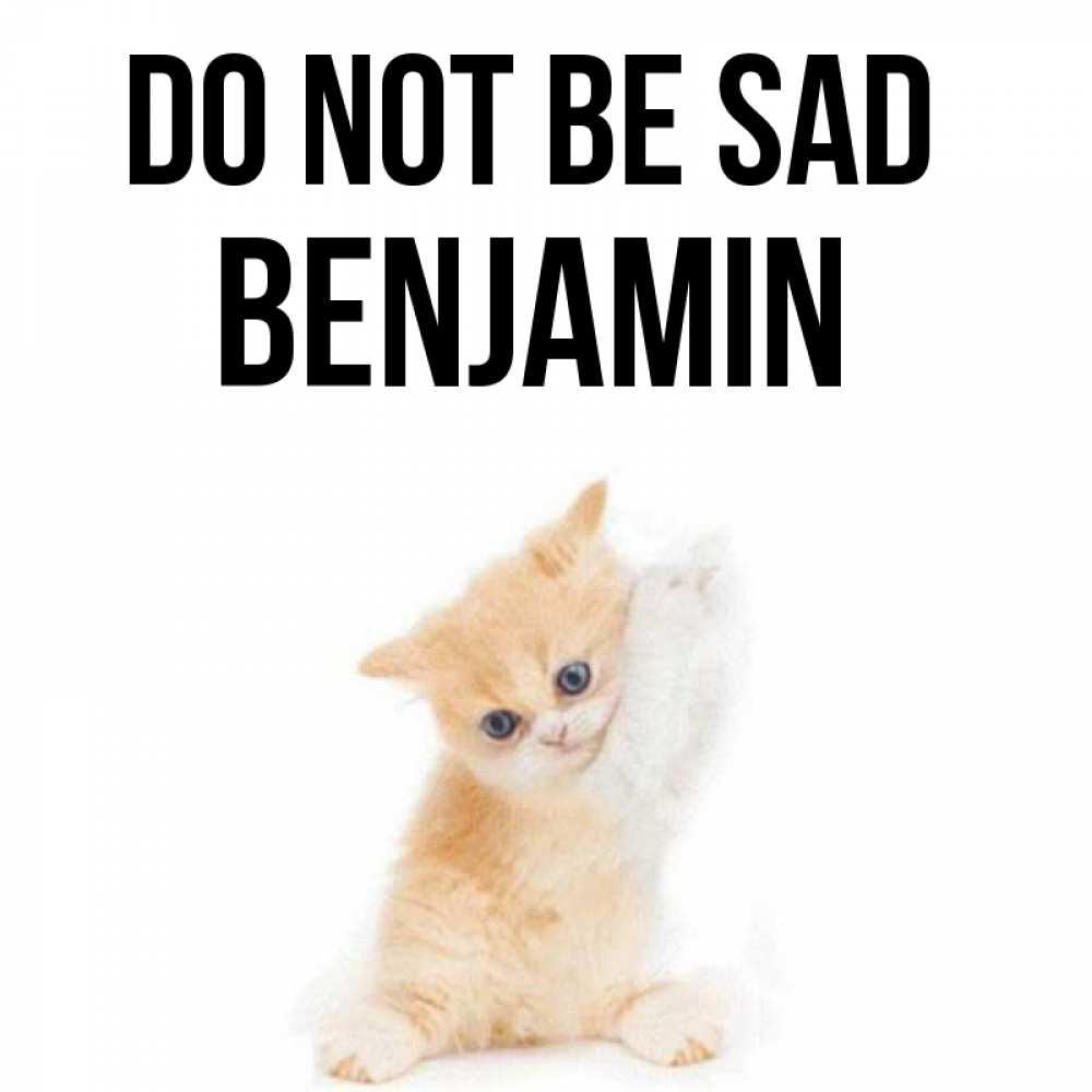 Greetings card с именем, Benjamin Do not be sad просящий кот Greetings with text for free download 