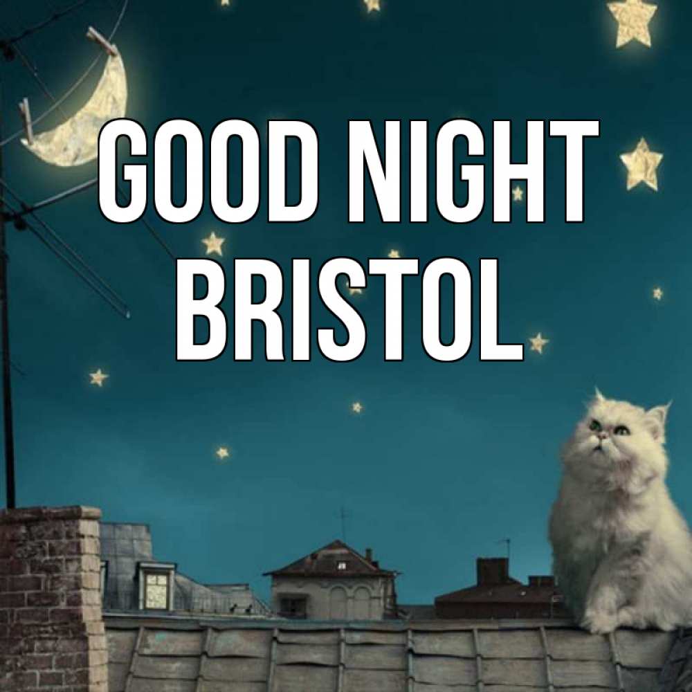 Greetings card с именем, Bristol Good night белый кот сидит на крыше Greetings with text for free download 