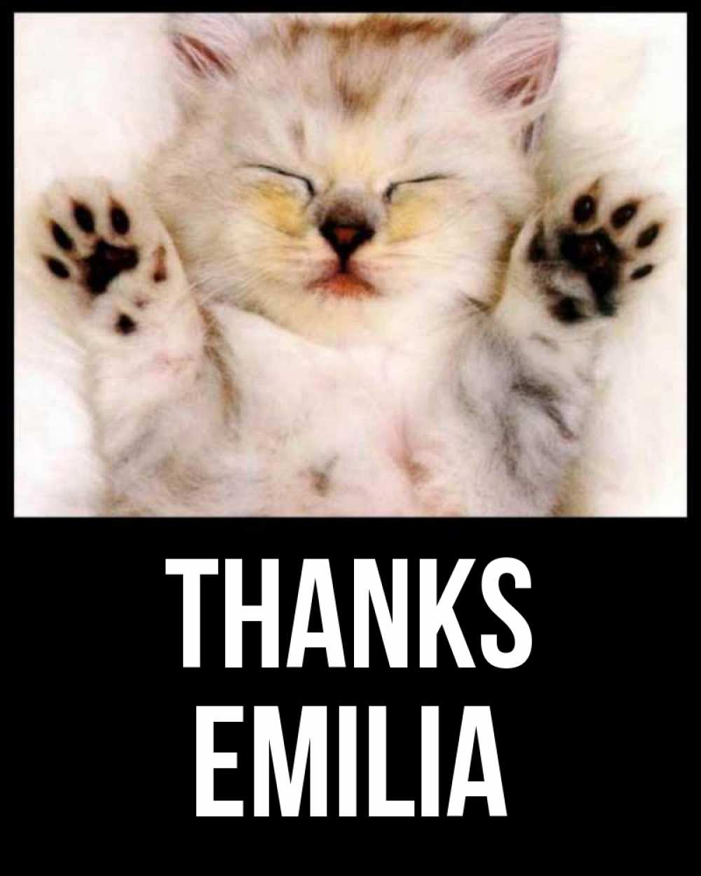 Greetings card с именем, Emilia Thanks маленький котенок Greetings with text for free download 