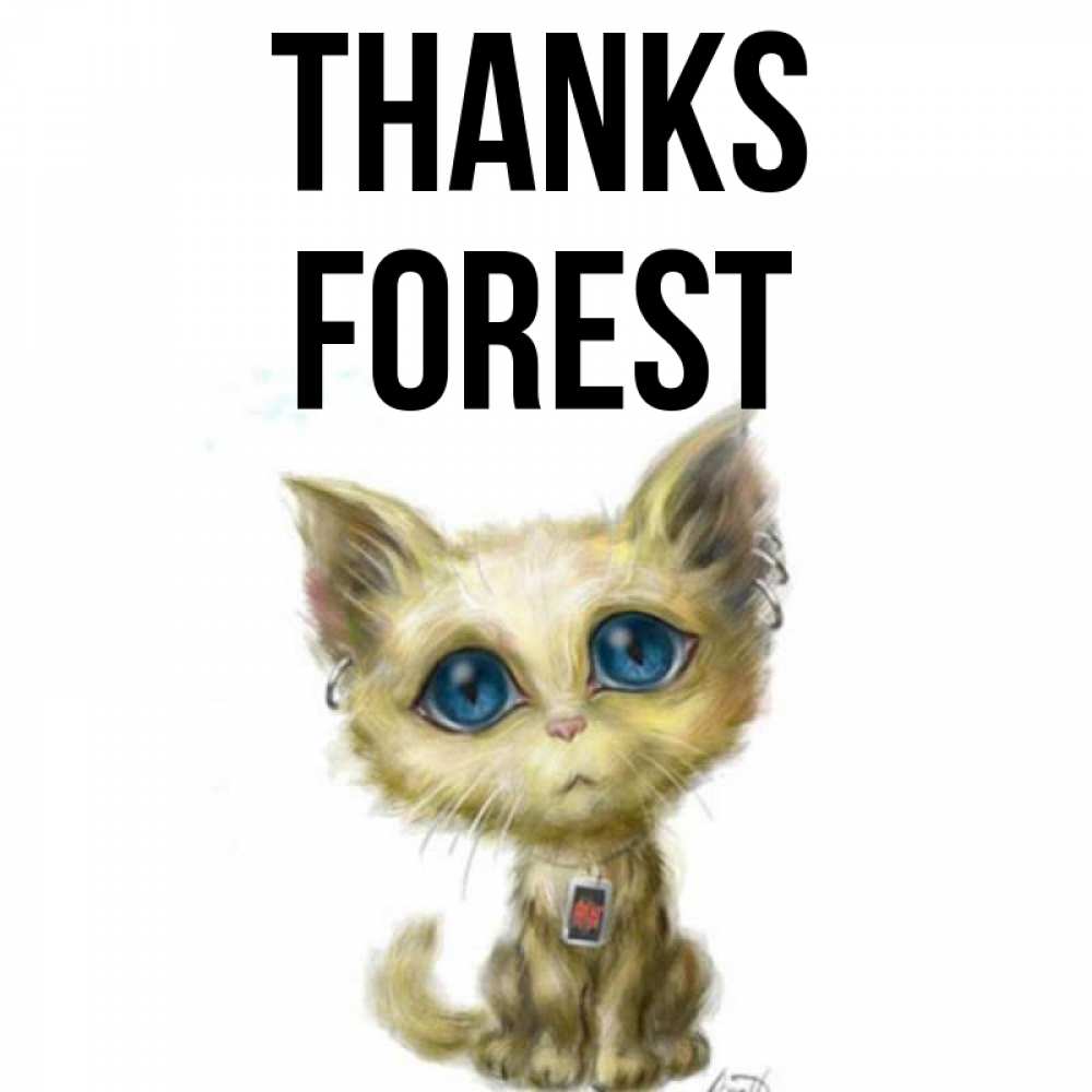 Greetings card с именем, Forest Thanks рисованный кот благодарит вас Greetings with text for free download 
