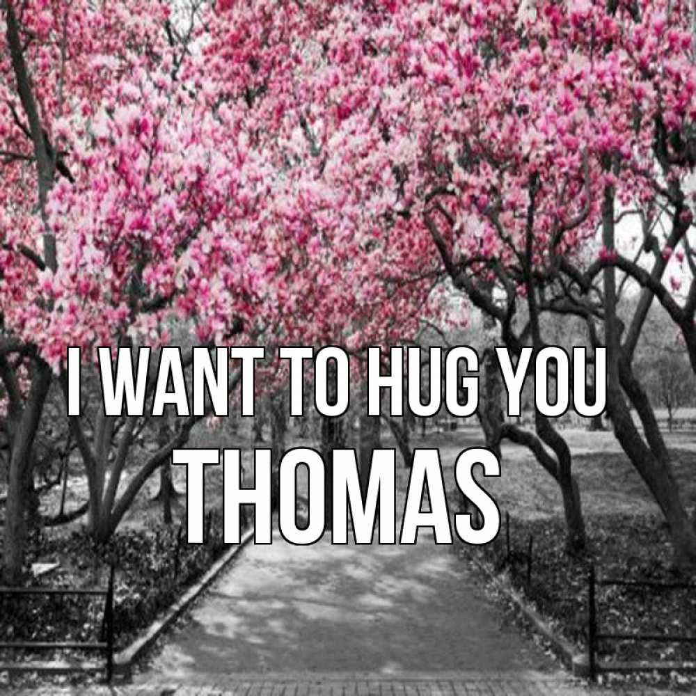 Greetings card с именем, Thomas I want to hug you обработанное фото Greetings with text for free download 