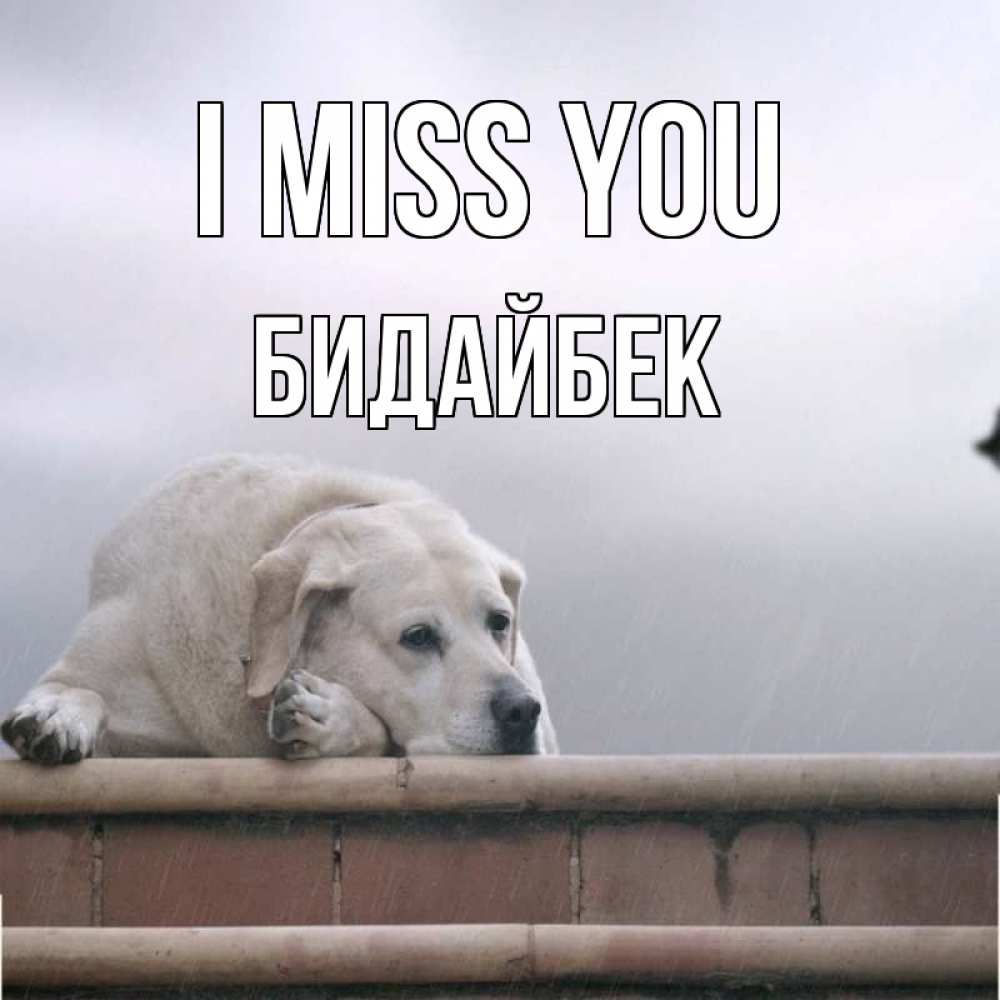 Greetings card с именем, Бидайбек I miss you ждет Greetings with text for free download 