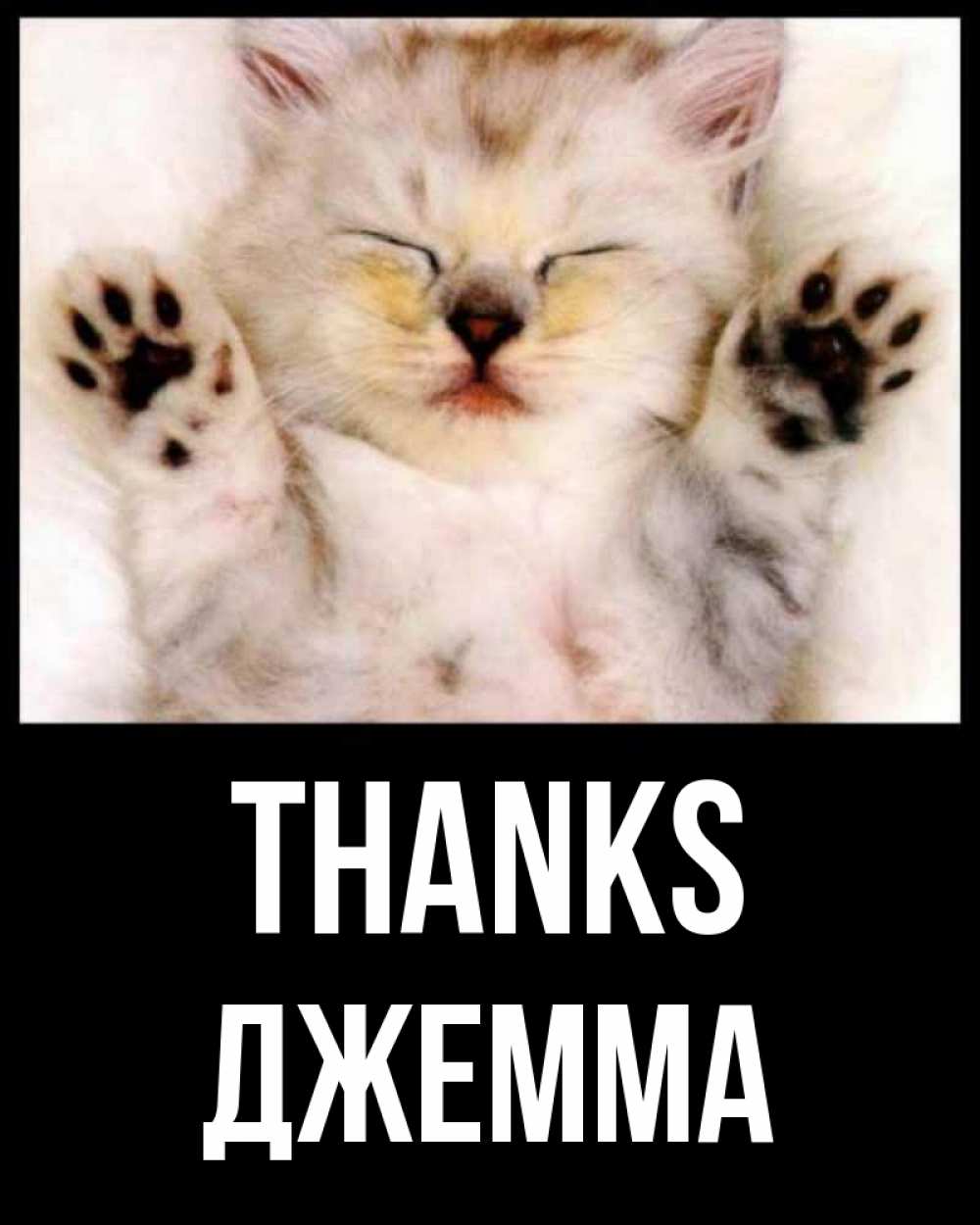 Greetings card с именем, Джемма Thanks маленький котенок Greetings with text for free download 