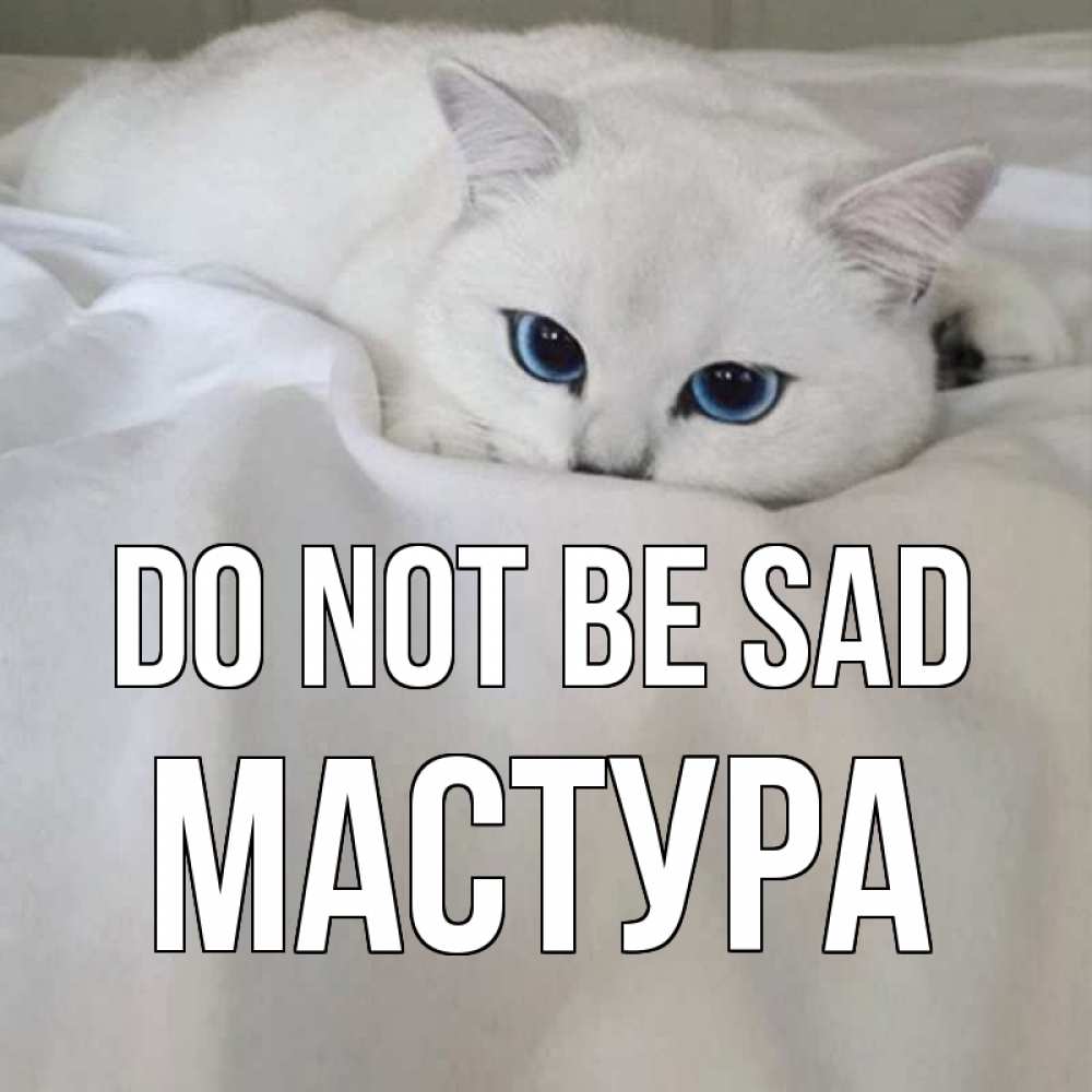Greetings card с именем, МАСТУРА Do not be sad белый кот с голубыми глазами на белоснежной кровати Greetings with text for free download 