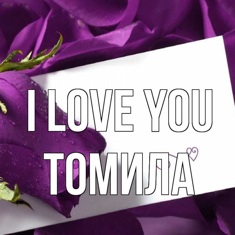 Greetings card с именем, Томила I love you роза Greetings with text for free download 