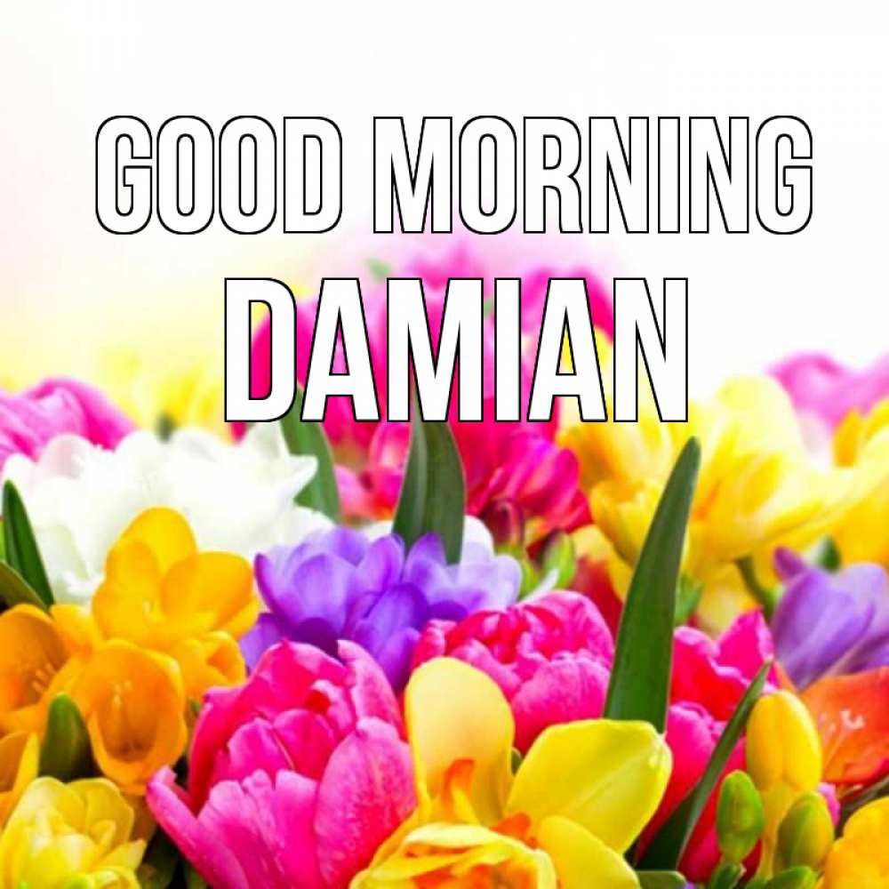 Greetings card с именем, Damian Good morning создать открытку со свое подписью Greetings with text for free download 
