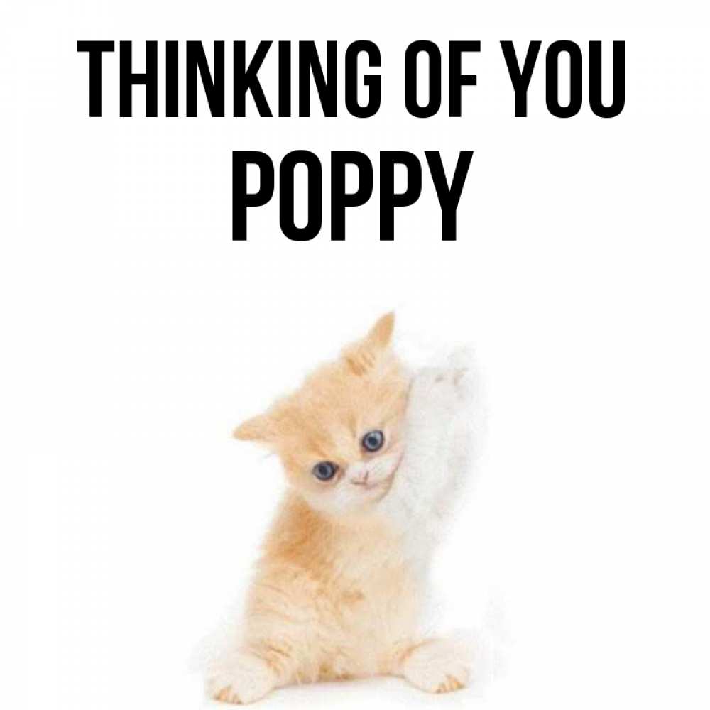 Greetings card с именем, Poppy Thinking of you зверушки и милота Greetings with text for free download 