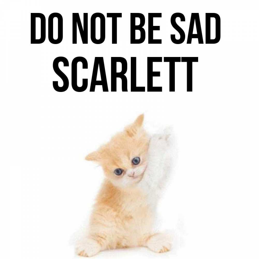 Greetings card с именем, Scarlett Do not be sad просящий кот Greetings with text for free download 