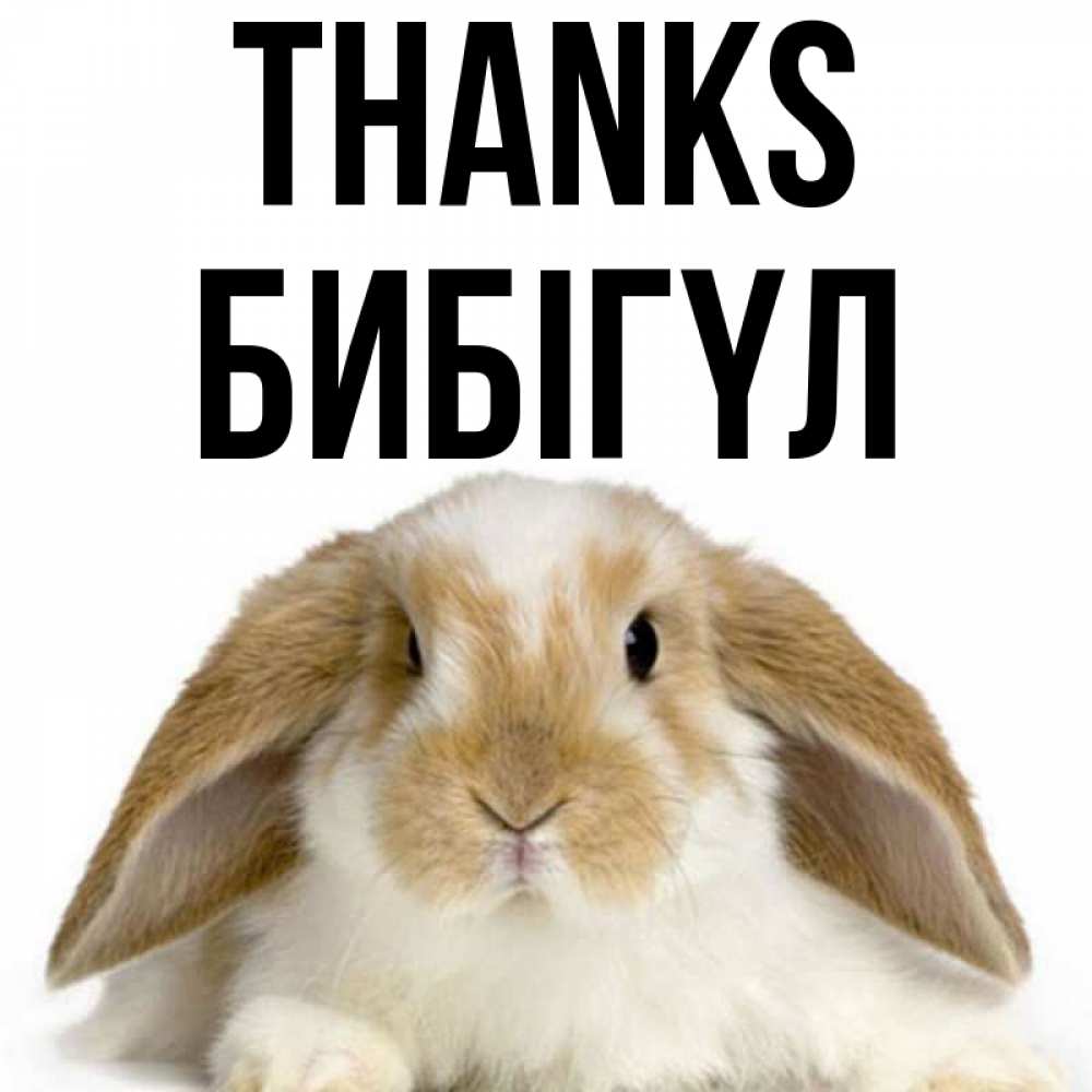 Greetings card с именем, БИБІГҮЛ Thanks коричнево белый заяц Greetings with text for free download 
