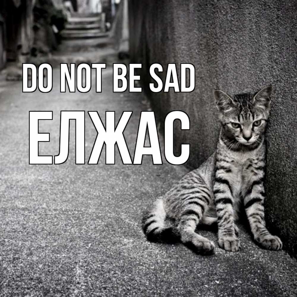 Greetings card с именем, Елжас Do not be sad скучающий котик Greetings with text for free download 