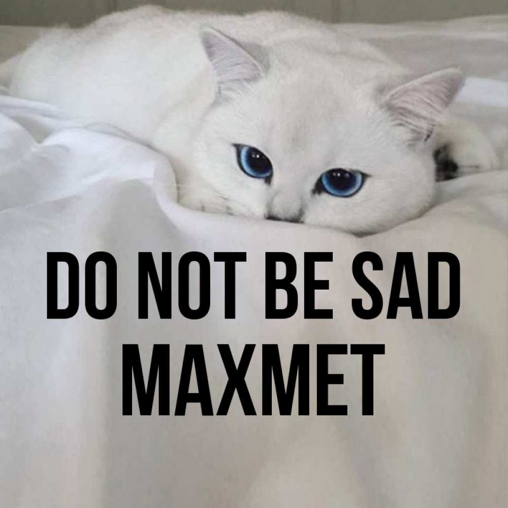 Greetings card с именем, МАХМЕТ Do not be sad Голубоглазая кошка Greetings with text for free download 