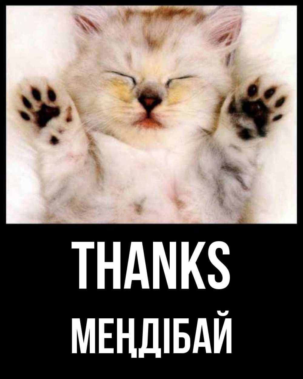 Greetings card с именем, МЕҢДІБАЙ Thanks маленький котенок Greetings with text for free download 