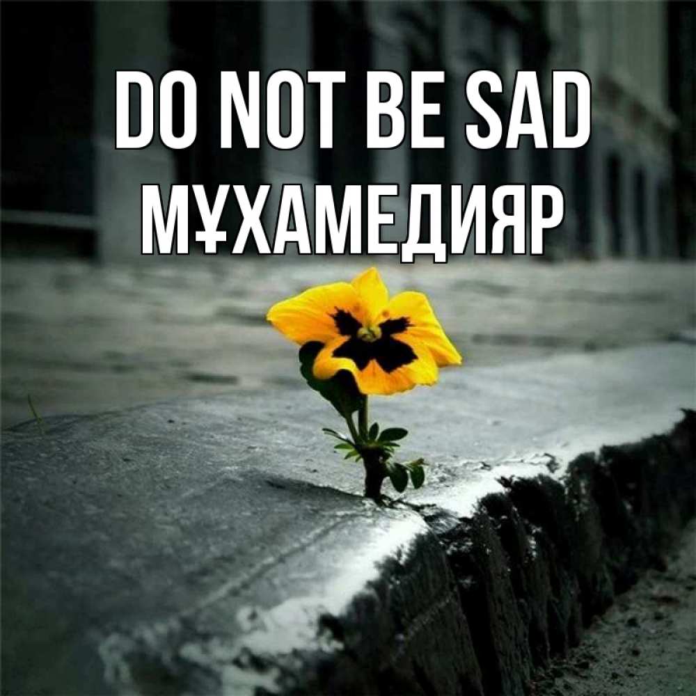Greetings card с именем, МҰХАМЕДИЯР Do not be sad не сдавайся Greetings with text for free download 