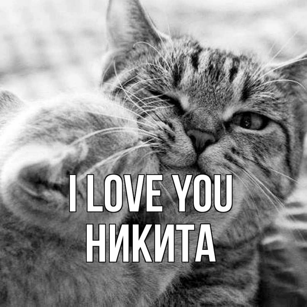 Greetings card с именем, Никита I love you коты Greetings with text for free download 