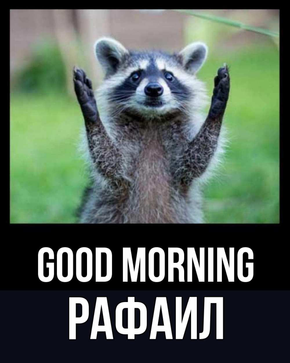 Greetings card с именем, Рафаил Good morning хорошее настроение утречком Greetings with text for free download 