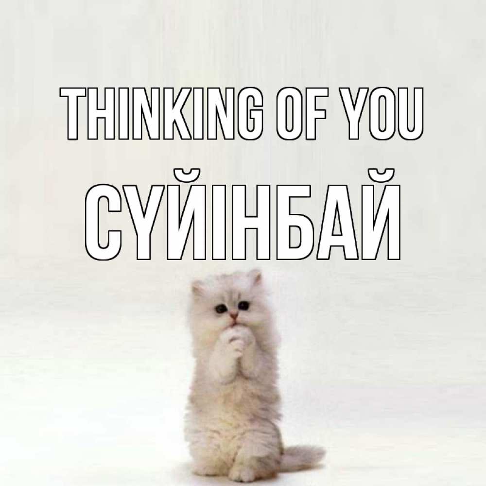 Greetings card с именем, СҮЙІНБАЙ Thinking of you кот стоит на задних лапах Greetings with text for free download 