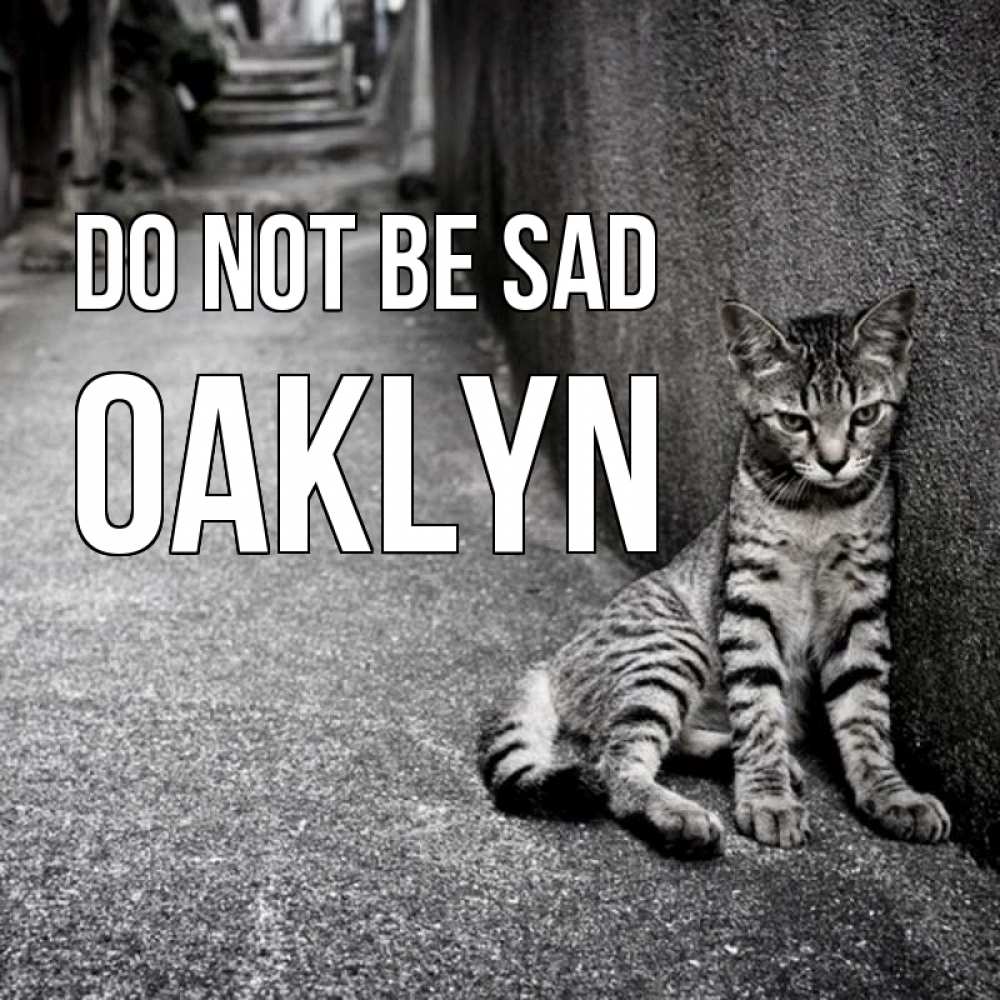 Greetings card с именем, Oaklyn Do not be sad скучающий котик Greetings with text for free download 
