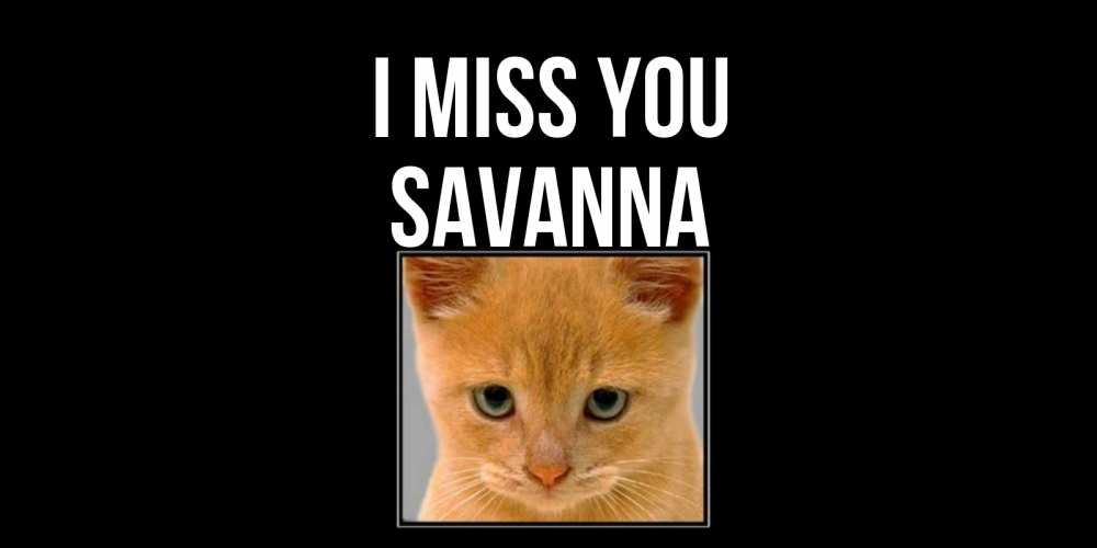 Greetings card с именем, Savanna I miss you открытки рыжий котенок скучает по тебе Greetings with text for free download 