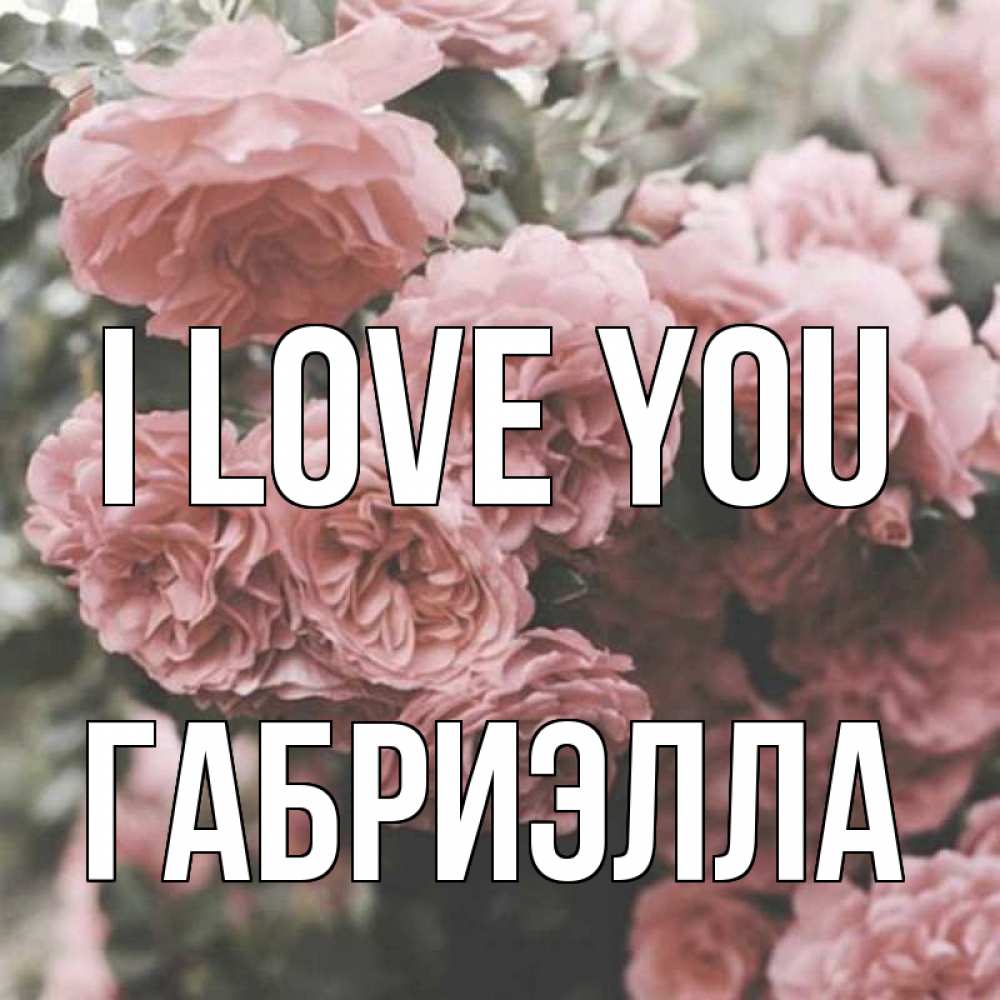 Greetings card с именем, Габриэлла I love you розы 3 Greetings with text for free download 