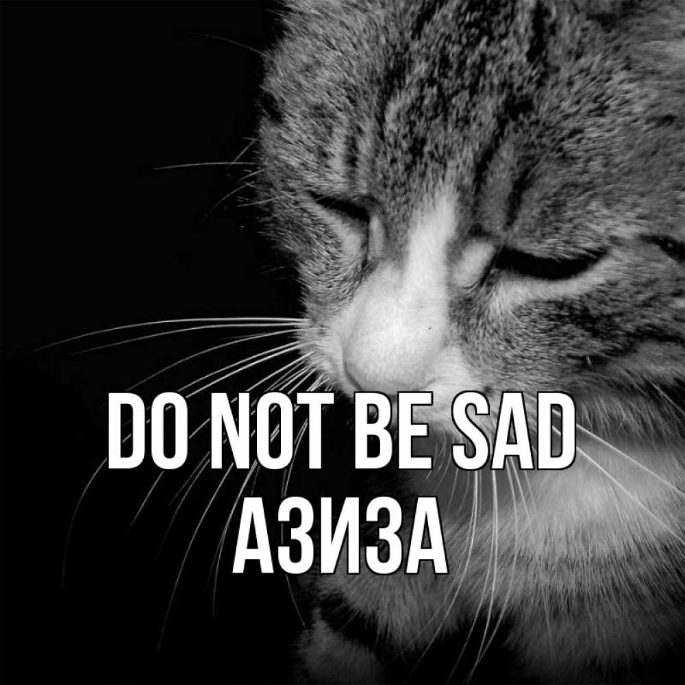 Greetings card с именем, Азиза Do not be sad грустный котик Greetings with text for free download 