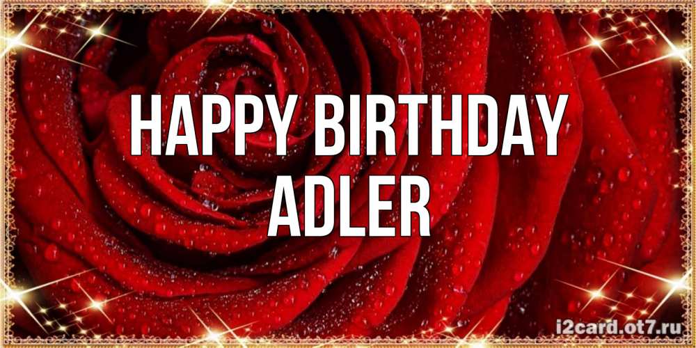 Greetings card с именем, Adler Happy Birthday роса на розе блестящая в лучах солнца Greetings with text for free download 