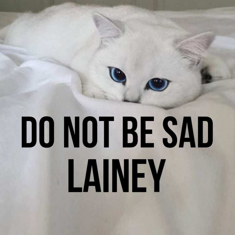 Greetings card с именем, Lainey Do not be sad Голубоглазая кошка Greetings with text for free download 