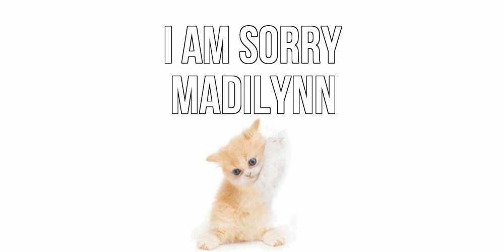 Greetings card с именем, Madilynn I am sorry кот Greetings with text for free download 