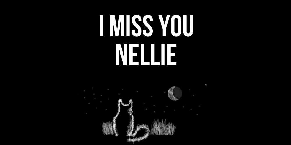 Greetings card с именем, Nellie I miss you кот Greetings with text for free download 