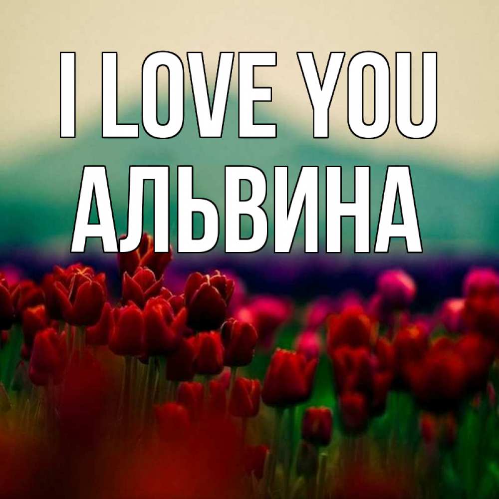Greetings card с именем, Альвина I love you тюльпаны 4 Greetings with text for free download 