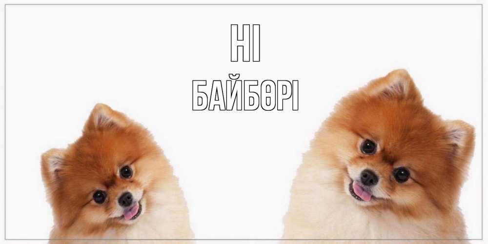 Greetings card с именем, Байбөрі Hi привет Greetings with text for free download 