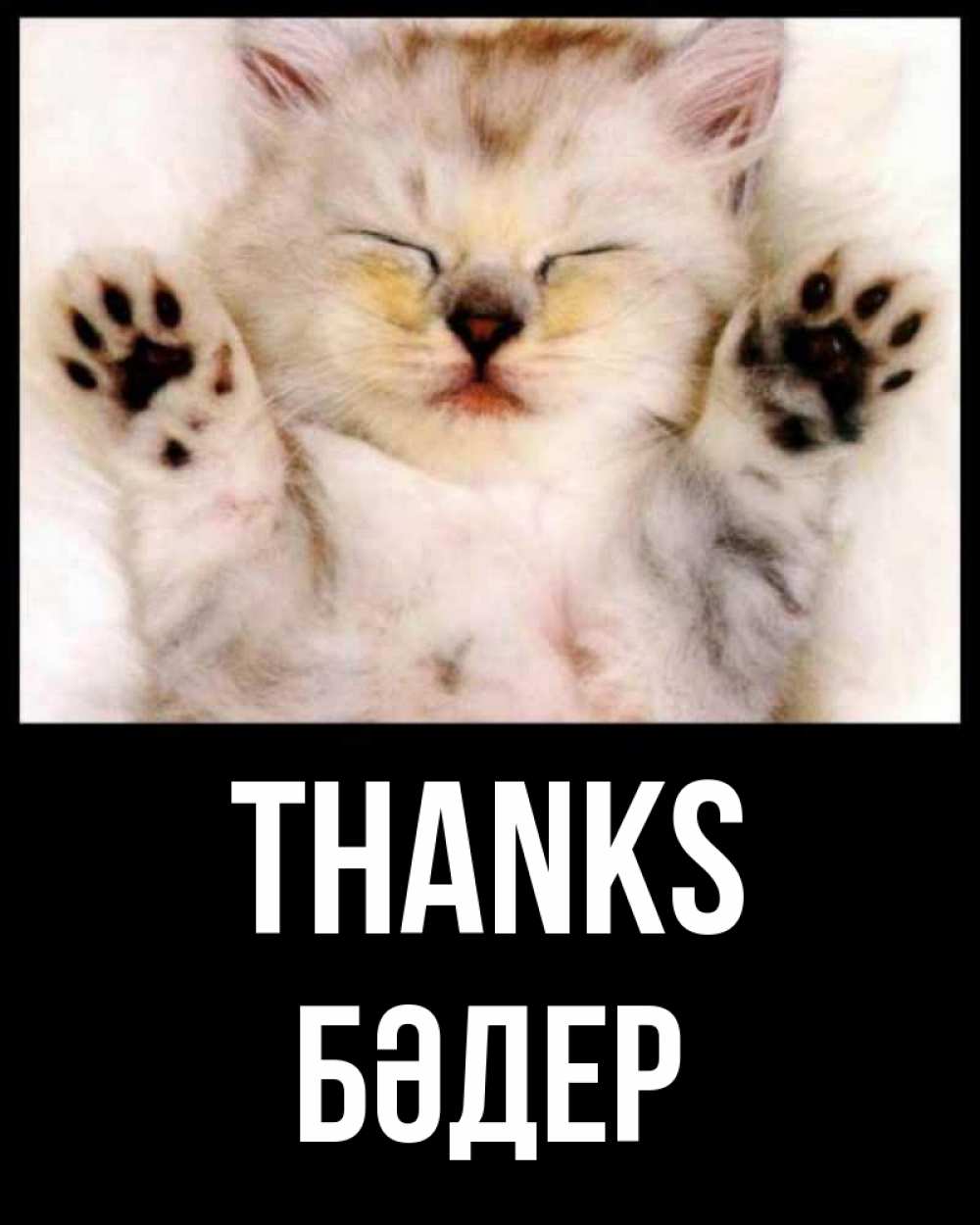 Greetings card с именем, БӘДЕР Thanks маленький котенок Greetings with text for free download 