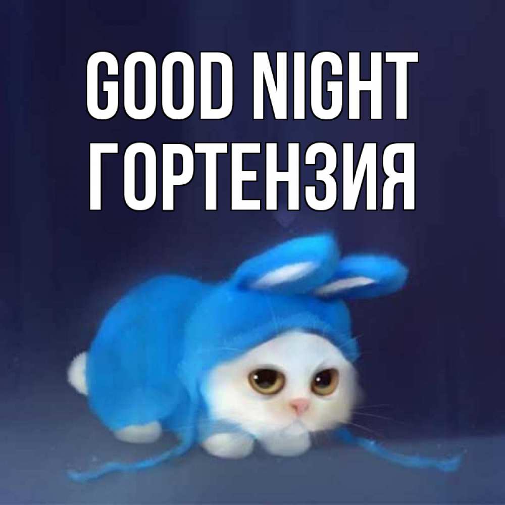 Greetings card с именем, Гортензия Good night кот в голубом костюме кролика с ушками Greetings with text for free download 