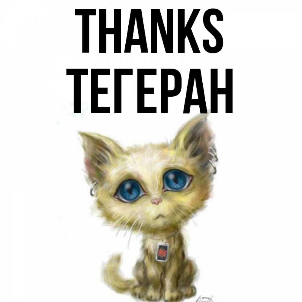 Greetings card с именем, ТЕГЕРАН Thanks рисованный кот благодарит вас Greetings with text for free download 