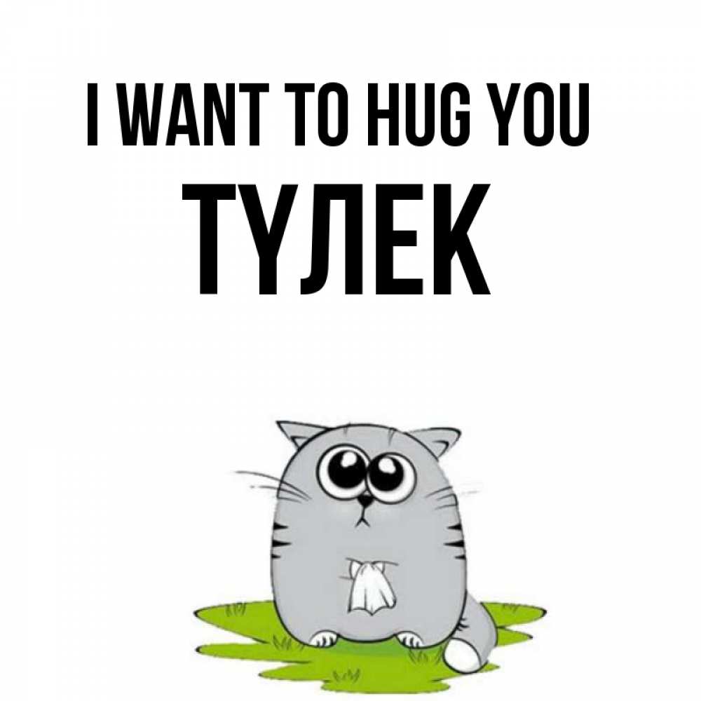 Greetings card с именем, ТҮЛЕК I want to hug you котик теребит платочек сидя на травке Greetings with text for free download 