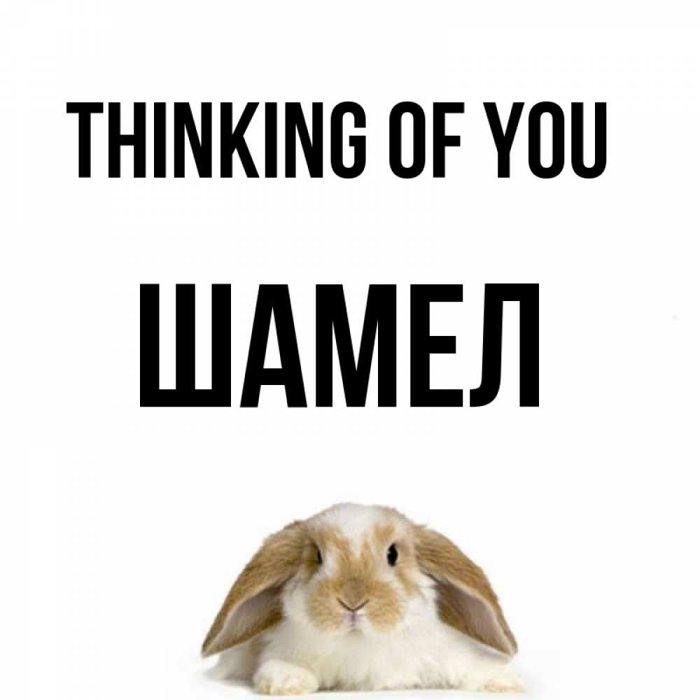 Greetings card с именем, ШАМЕЛ Thinking of you подписать своими руками онлайн Greetings with text for free download 