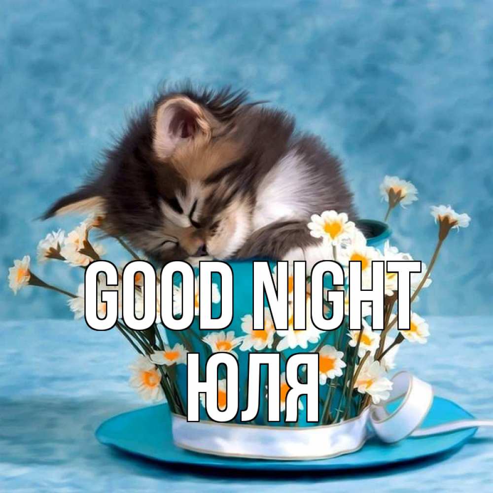 Greetings card с именем, Юля Good night котенок спит в кружке с блюдцем Greetings with text for free download 