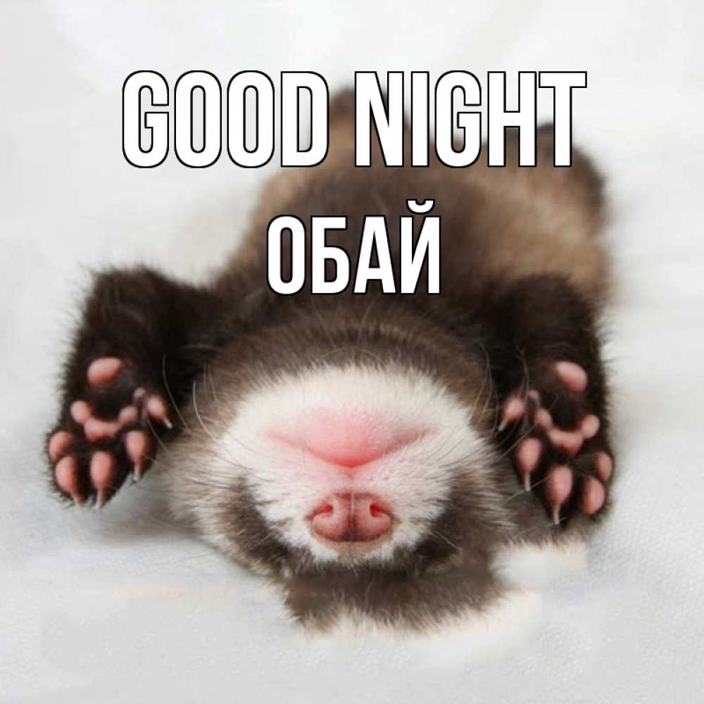 Greetings card с именем, ОБАЙ Good night зверек Greetings with text for free download 