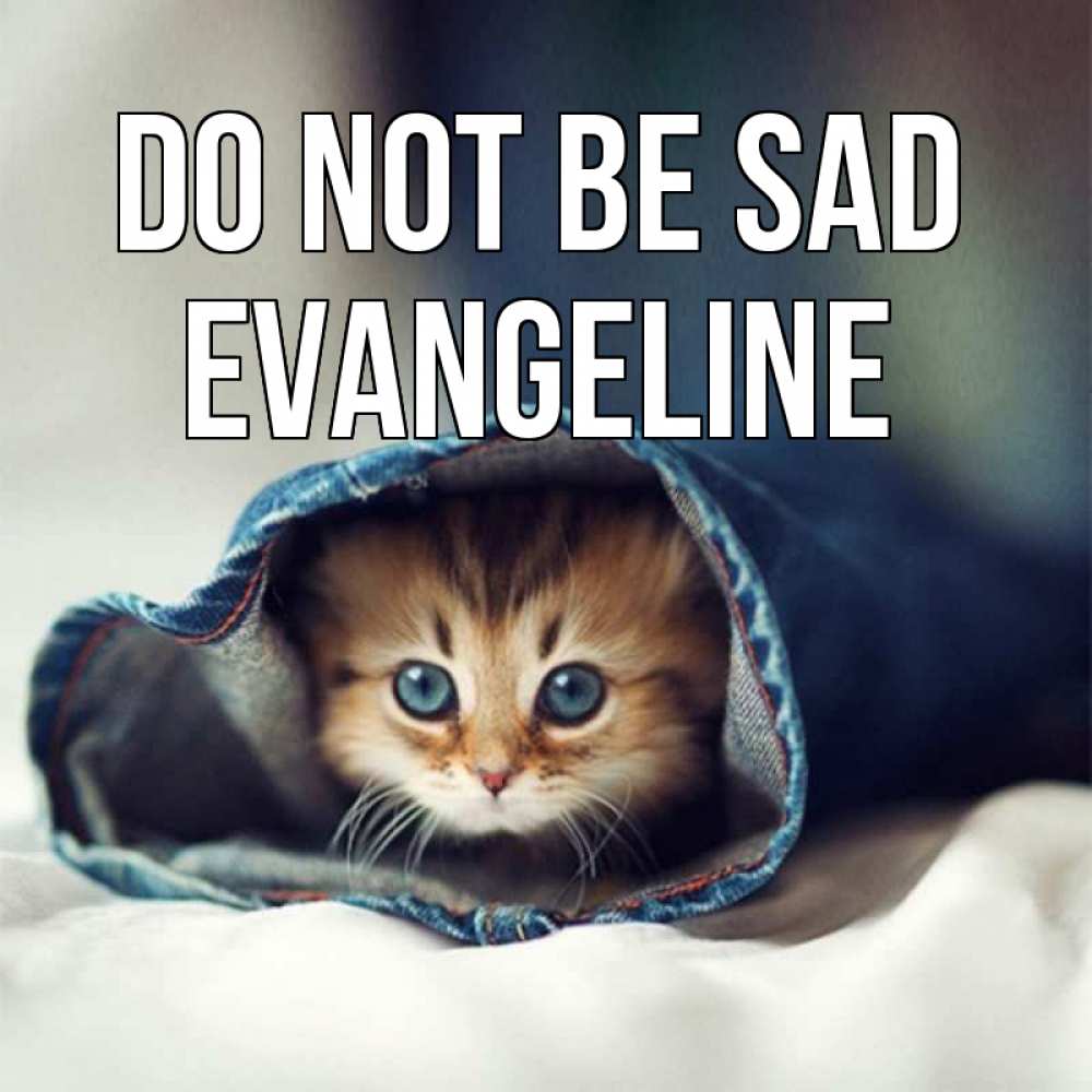 Greetings card с именем, Evangeline Do not be sad кот в одежде Greetings with text for free download 