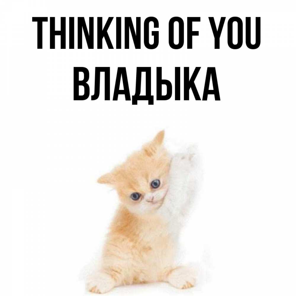 Greetings card с именем, Владыка Thinking of you зверушки и милота Greetings with text for free download 