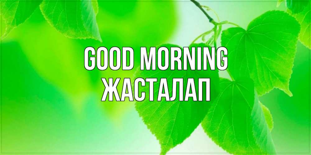 Greetings card с именем, Жасталап Good morning доброе утро с березовыми листьями Greetings with text for free download 