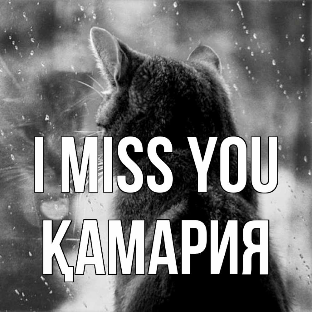 Greetings card с именем, ҚАМАРИЯ I miss you скорее ко мне приходи 1 Greetings with text for free download 