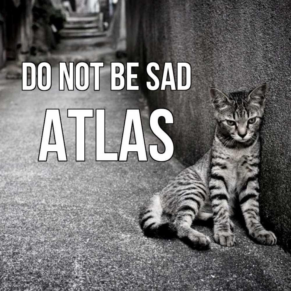 Greetings card с именем, Atlas Do not be sad скучающий котик Greetings with text for free download 