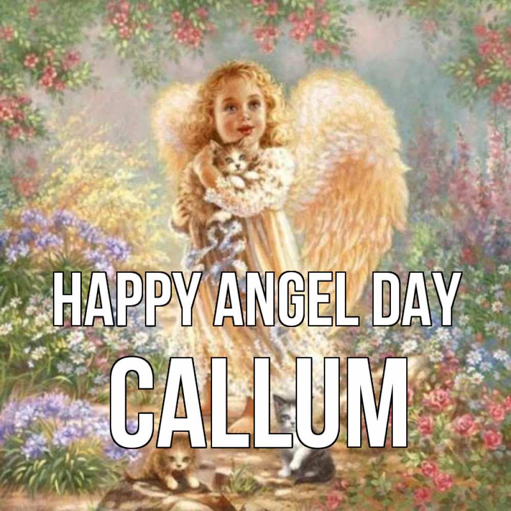 Greetings card с именем, Callum happy angel day держит котенка Greetings with text for free download 