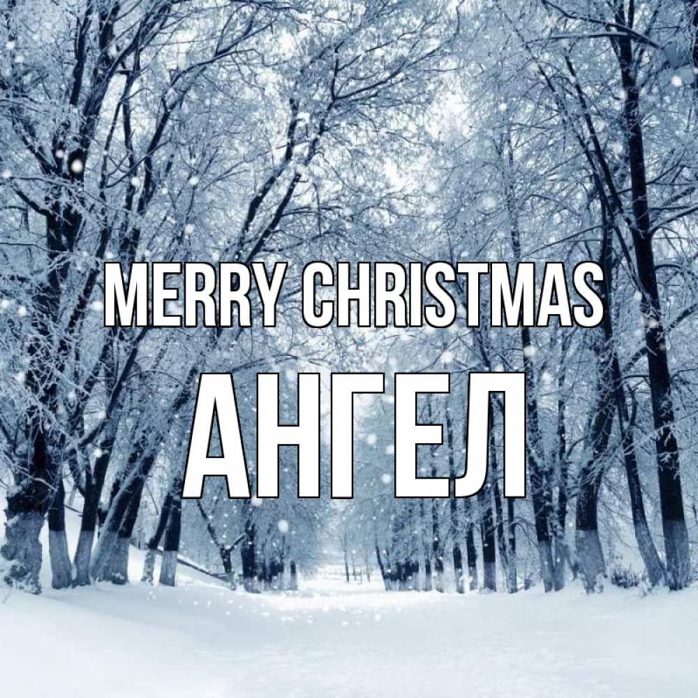 Greetings card с именем, Ангел Merry Christmas снег, лес, парк Greetings with text for free download 