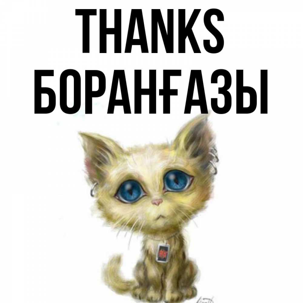 Greetings card с именем, Боранғазы Thanks рисованный кот благодарит вас Greetings with text for free download 