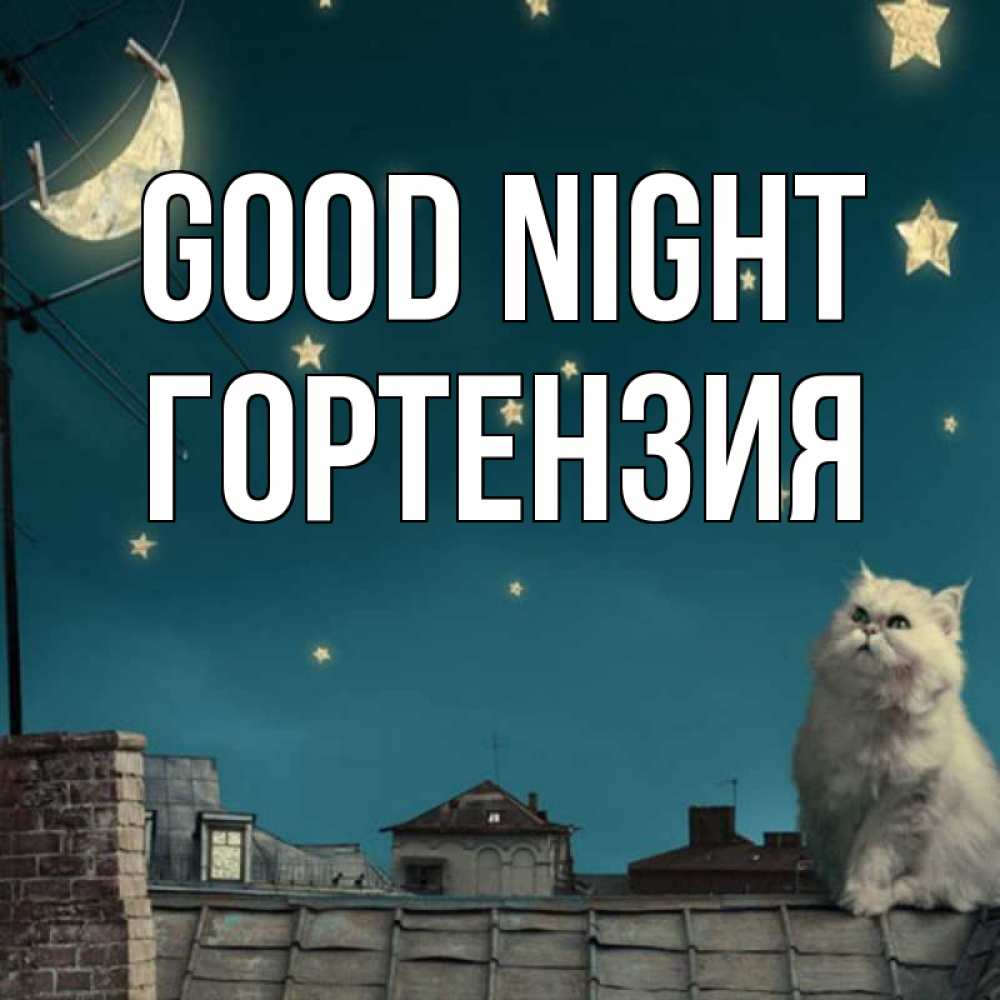 Greetings card с именем, Гортензия Good night белый кот сидит на крыше Greetings with text for free download 