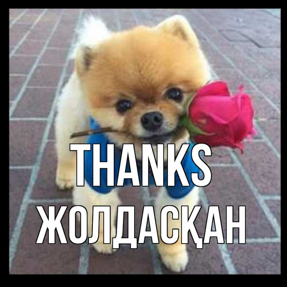 Greetings card с именем, Жолдасқан Thanks спасибо и дарю тебе цветок Greetings with text for free download 