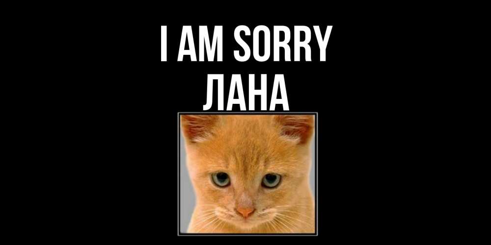 Greetings card с именем, Лана I am sorry рыжий грустный кот просит прощения Greetings with text for free download 