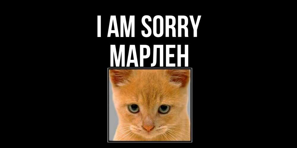 Greetings card с именем, МАРЛЕН I am sorry рыжий грустный кот просит прощения Greetings with text for free download 