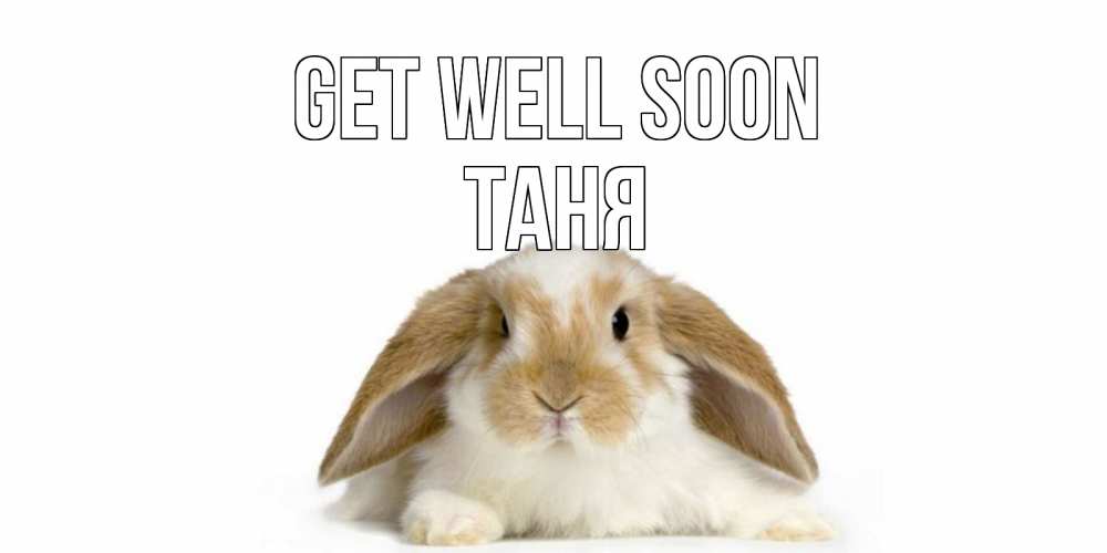 Greetings card с именем, Таня Get well soon вислоухий кролик белого и коричневого цвета Greetings with text for free download 
